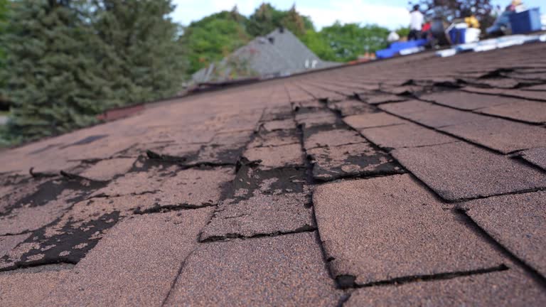 Trusted Clatskanie, OR Roofing Experts